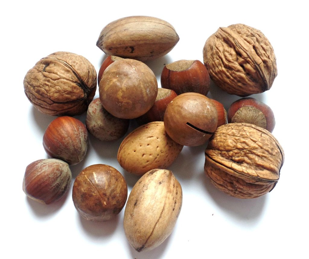 nut, walnut, brazil nut