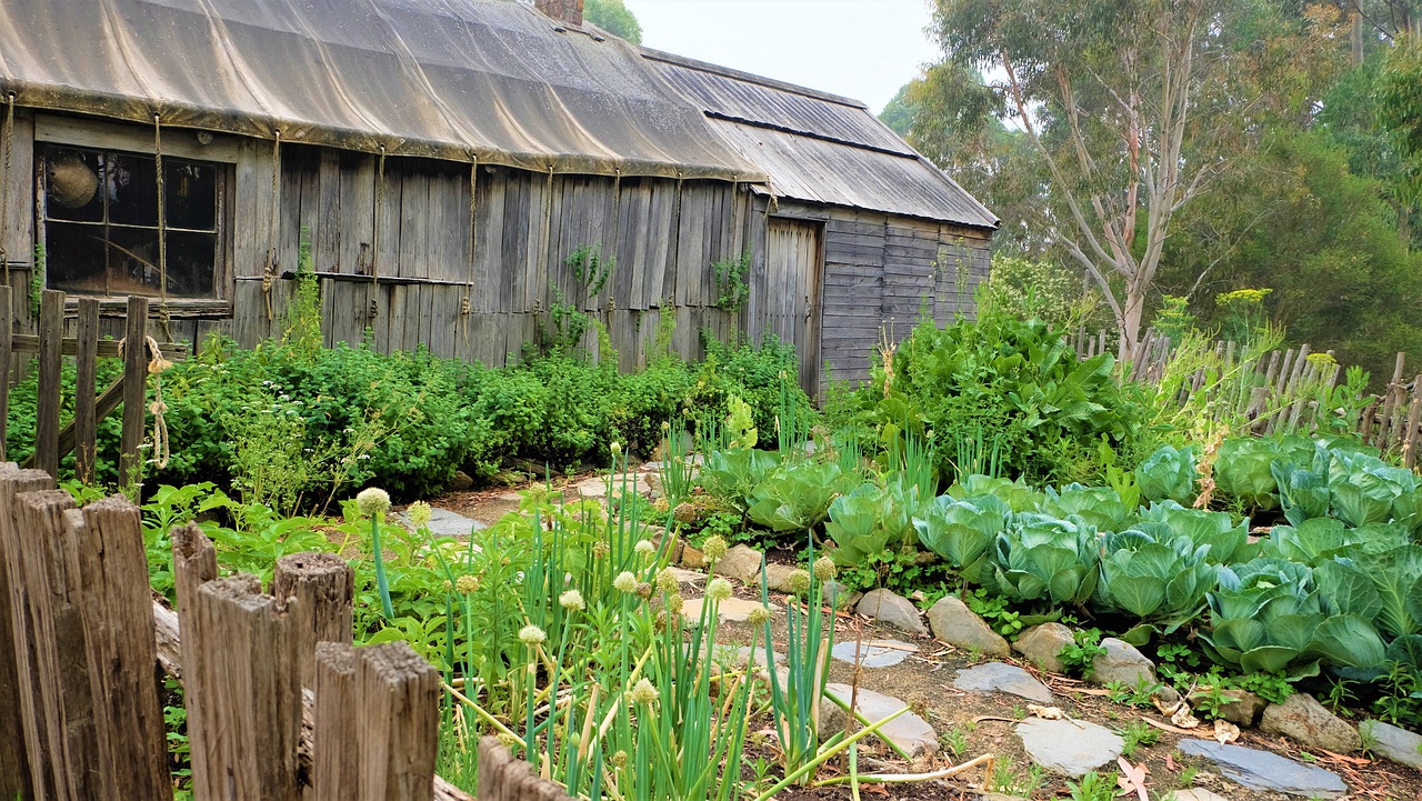 cottage, garden, vegetable patch